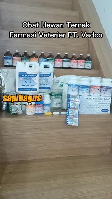 Jenis-Obat-Hewan-Ternak